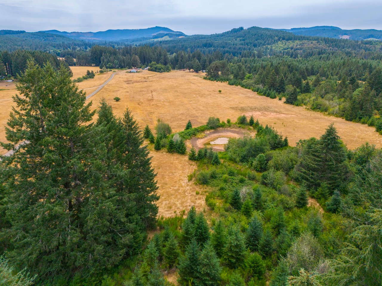 Sheffler Farm & Forest