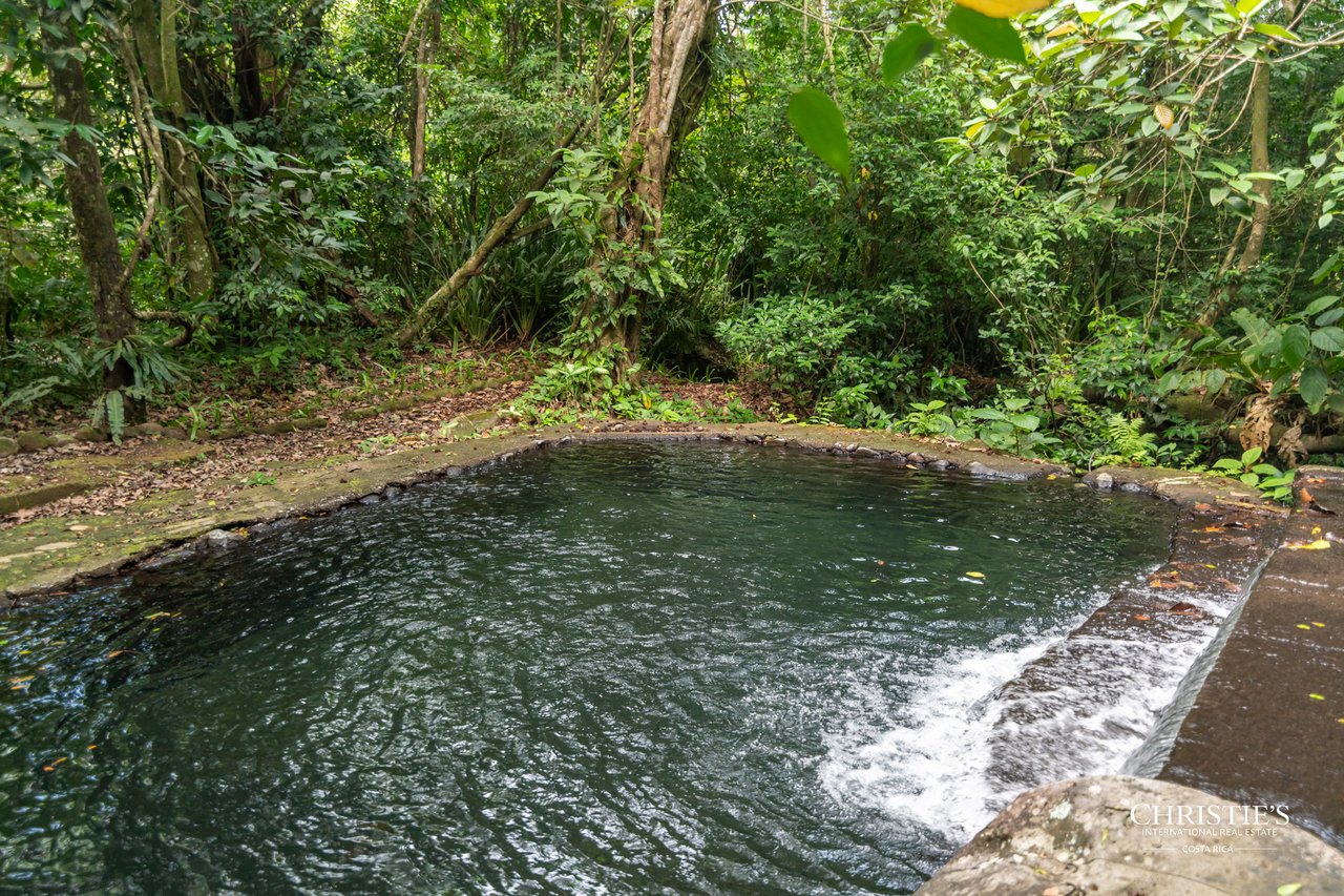 Origins Mineral: A Rare Landholding in Guanacaste’s Volcanic Highlands
