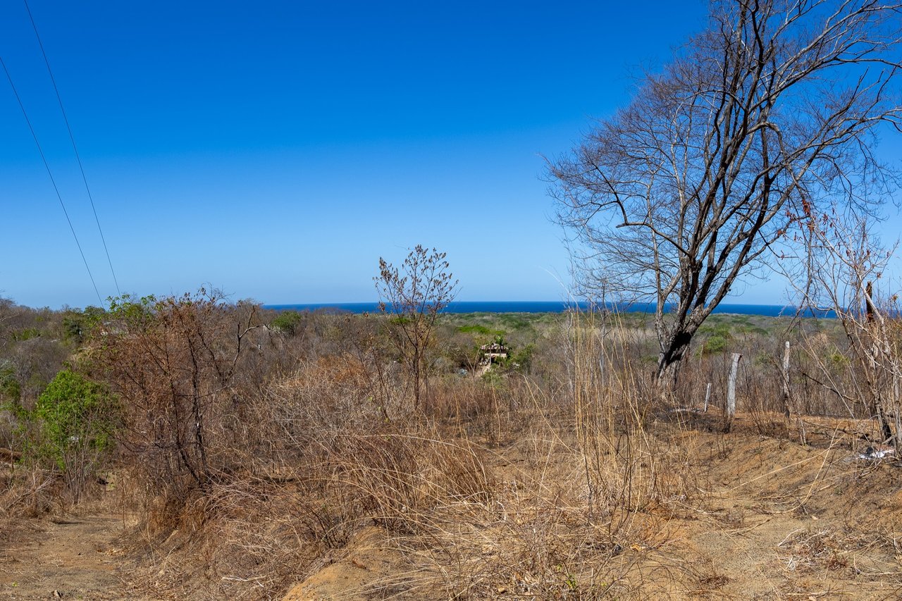 Finca Los Pargos Lot – Oceanview lot with water!, Playa Negra, Guanacaste