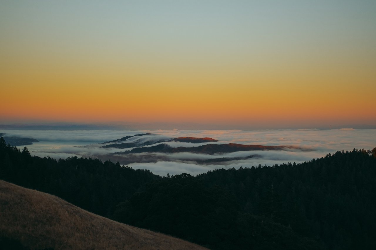 Hiking Mount Tam: Top Trails You Can’t Miss