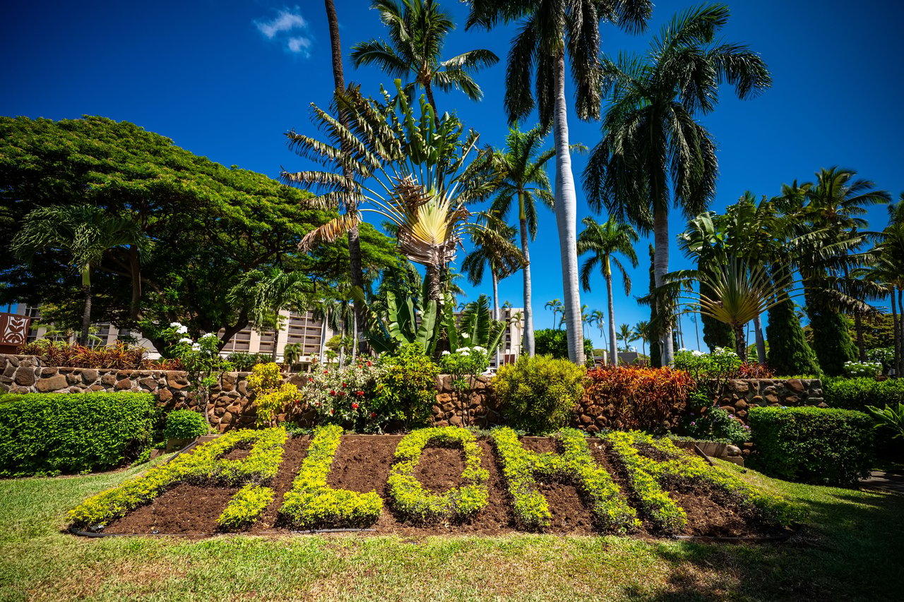 Kaanapali Shores 606