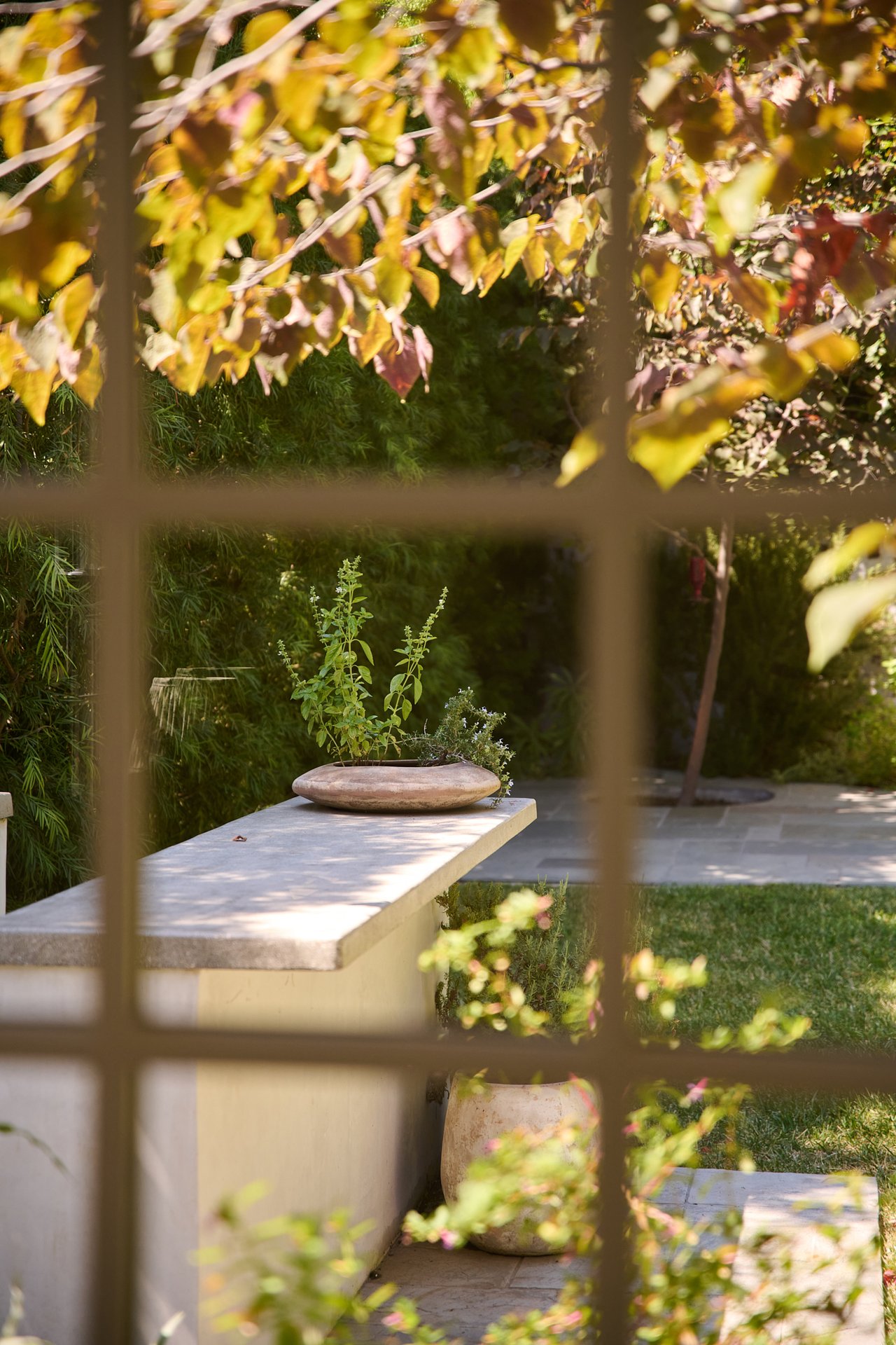 10463 Le Conte Ave, Westwood