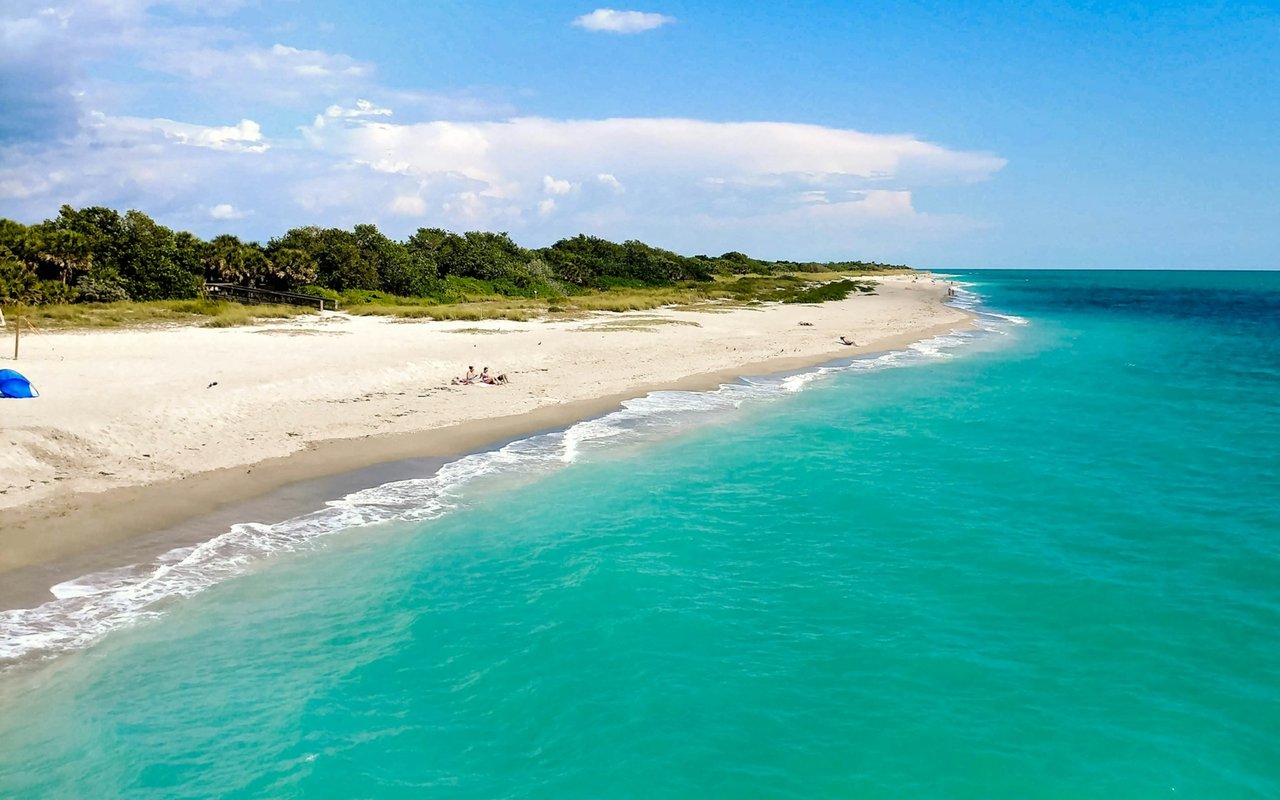 Venice beach with turquoise water, gentle surf, and a tree-lined sandy shore.