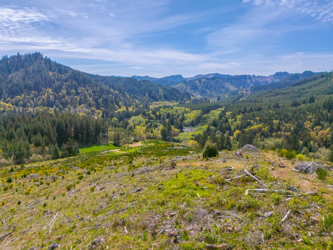 Nelson Mountain Meadows