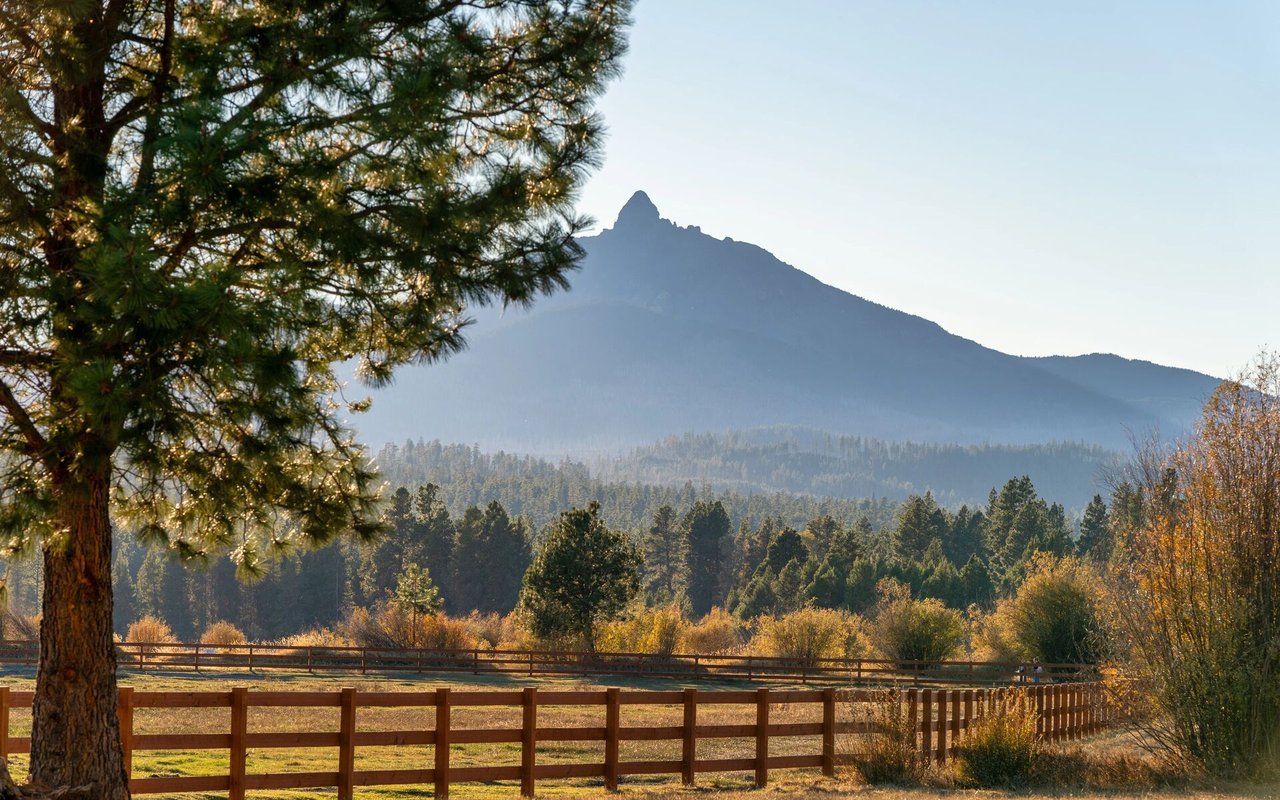 Discover Your Dream Ranch in Colorado: A Guide to Finding the Perfect Property