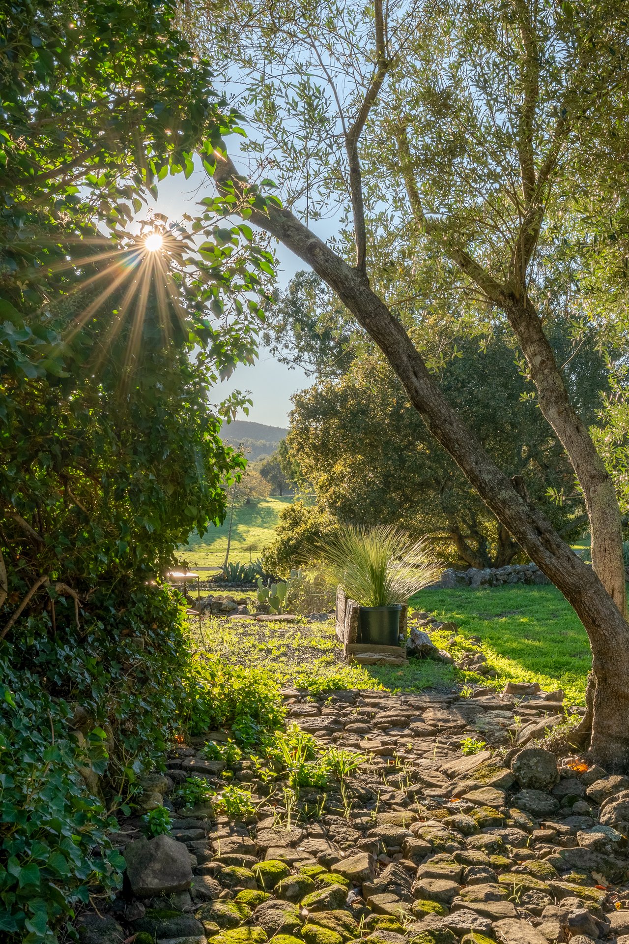 5100 Lovall Valley Loop Rd. 