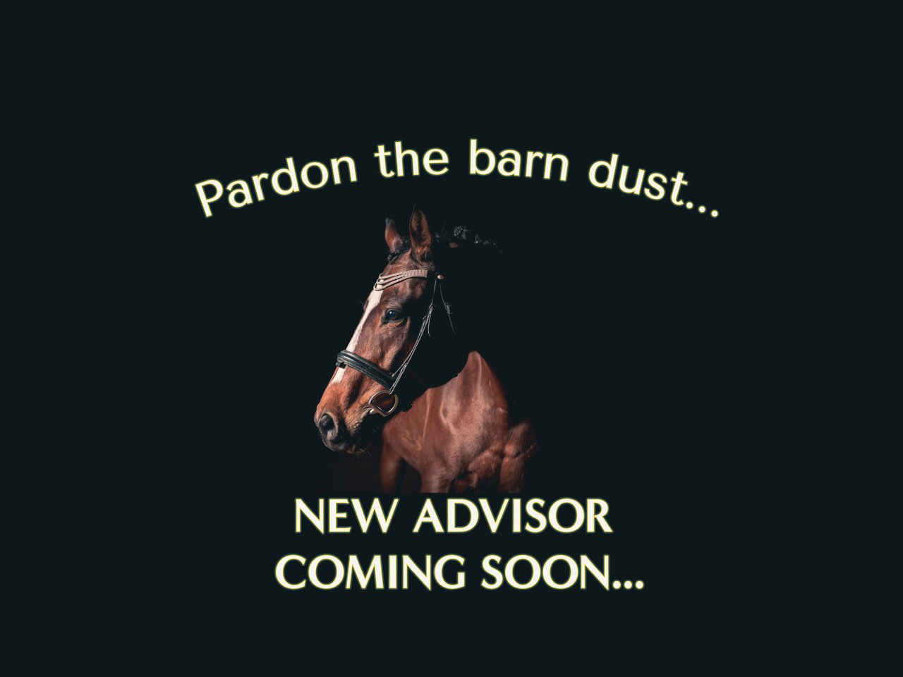 New Advisor Coming Soon