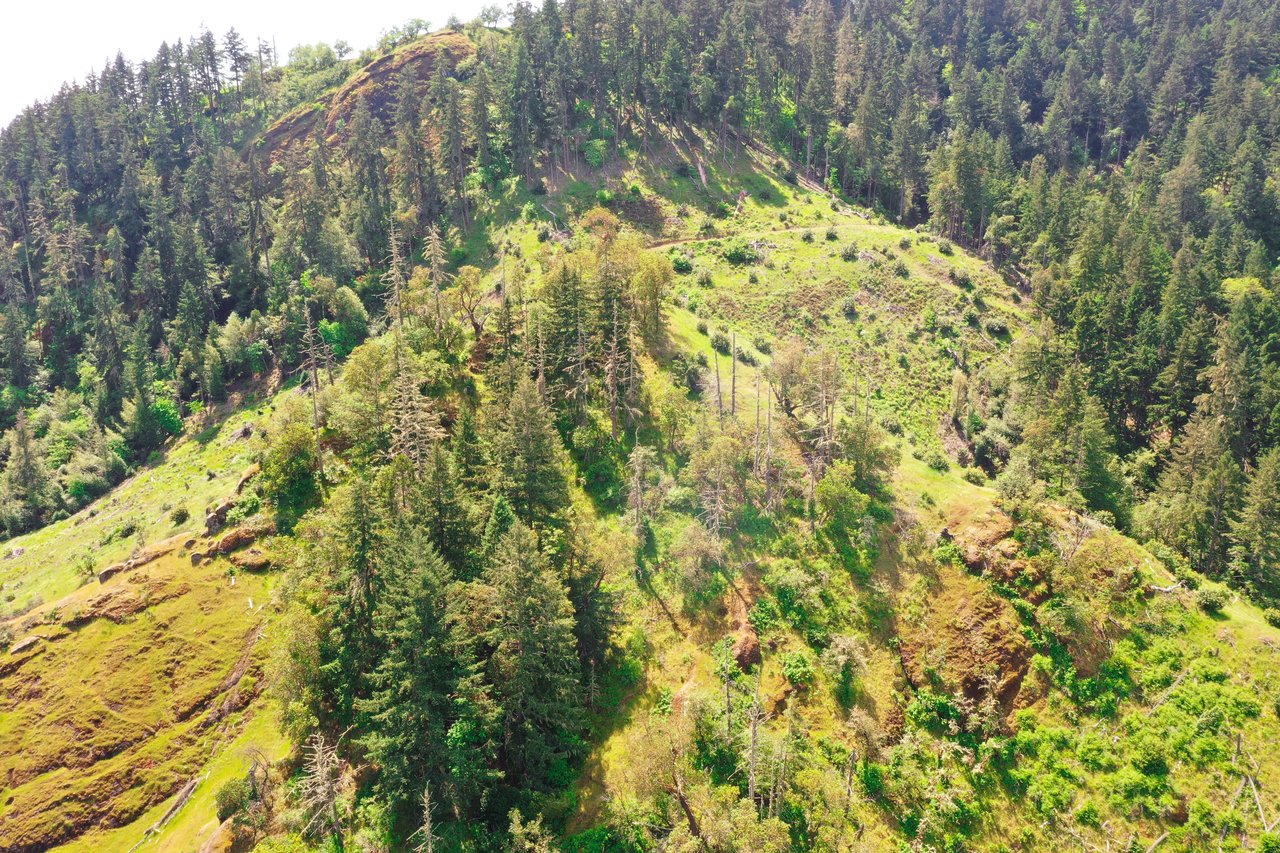 STRICKLAND BOULDER FOREST