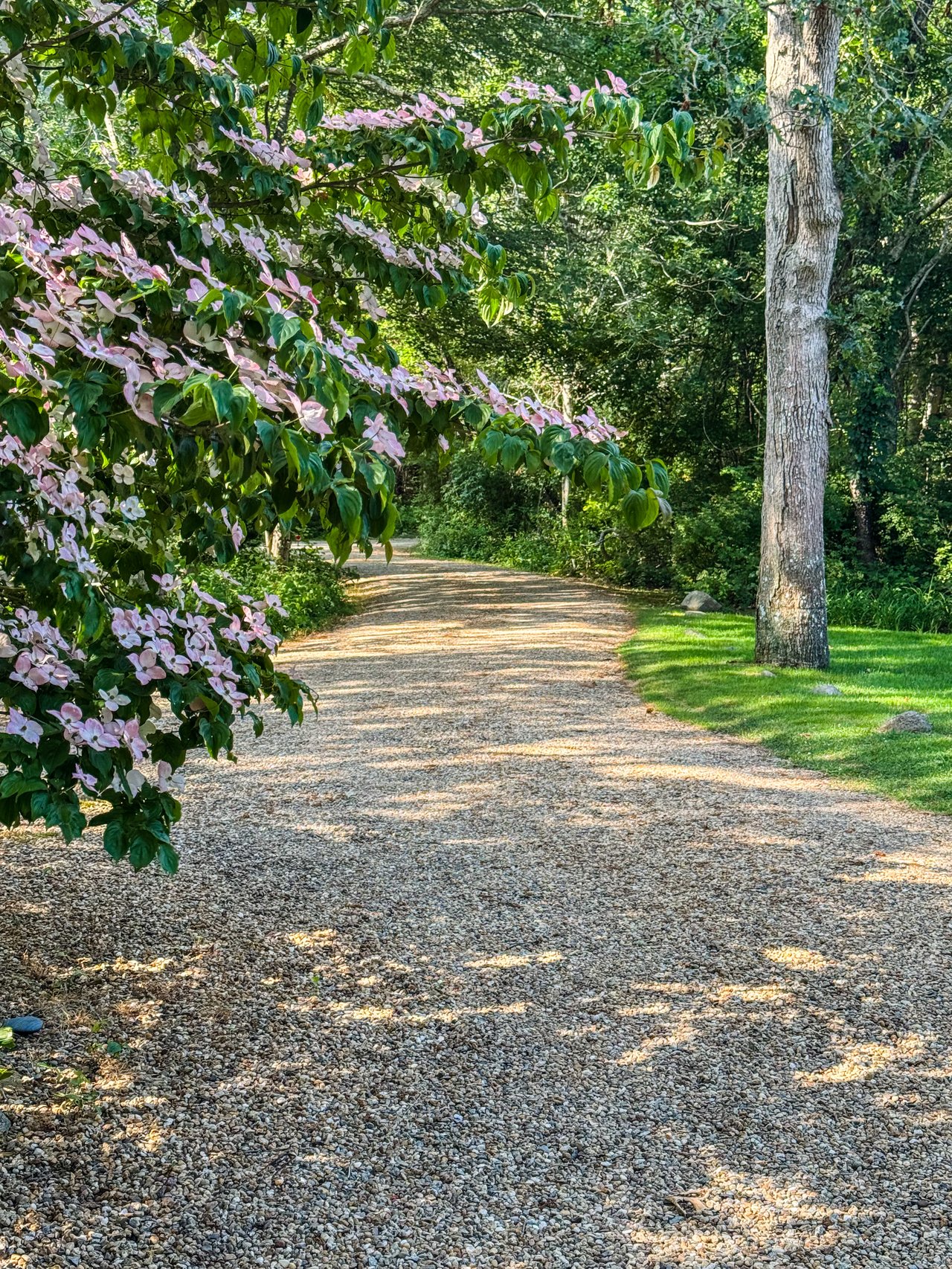 31 Josiah Sachem Way