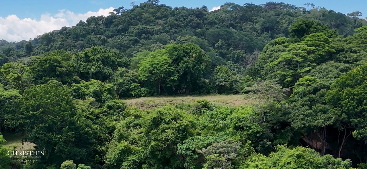 Santa Teresa Town – Heart Hillside