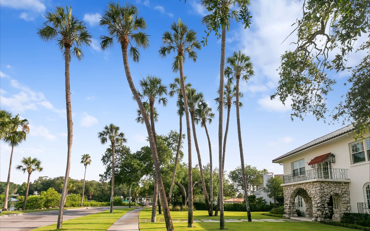 Why You Should Consider Living in Beach Park, Tampa - A Comprehensive Guide