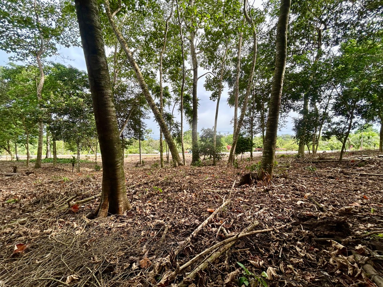 Tawal Lots for Sale – Prime Commercial & Residential Opportunity