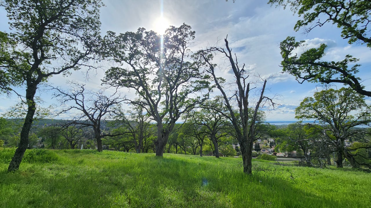 Dream Home Lot in El Dorado Hills