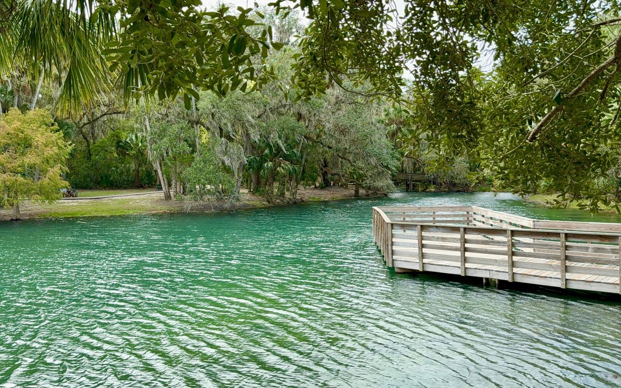 Rainbow Springs