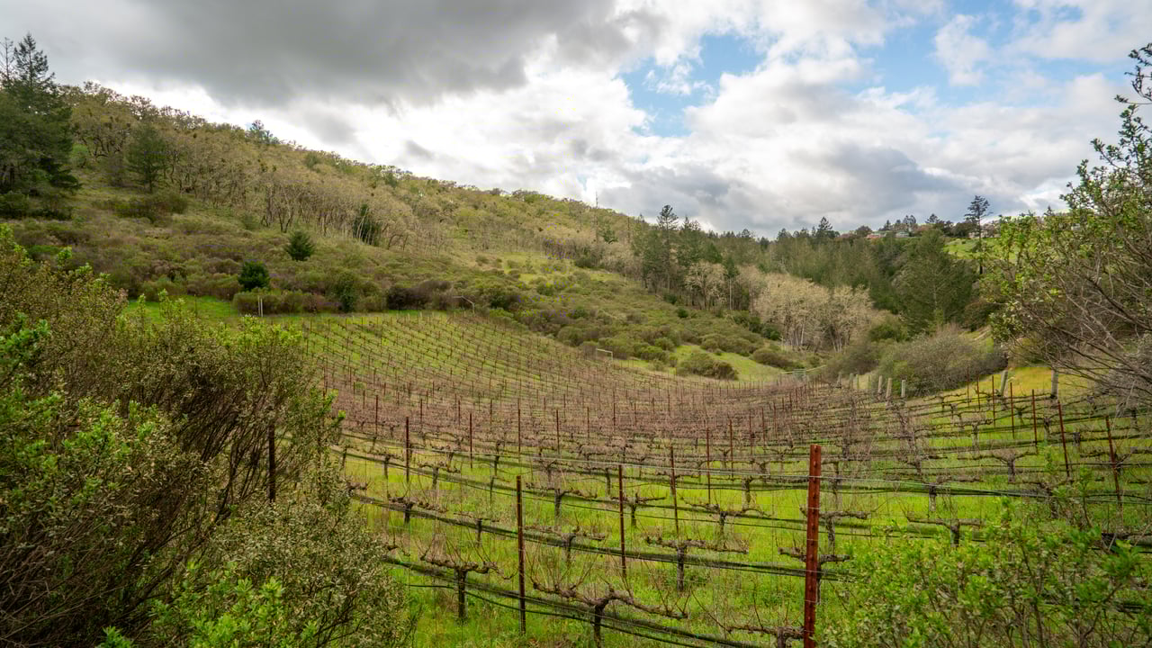 Leslie Creek Retreat