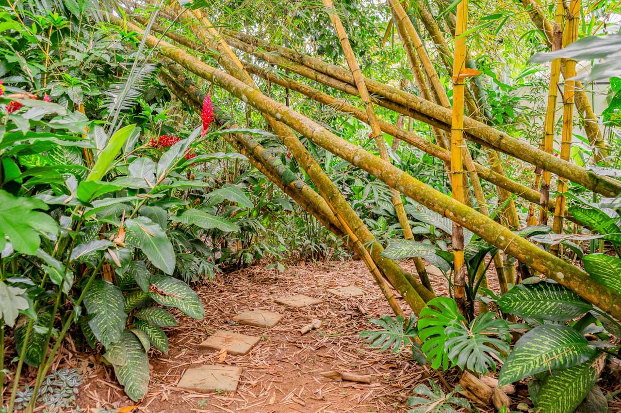 Tropical 4-Bedroom Home for Sale in Uvita | Pool & Airbnb Income
