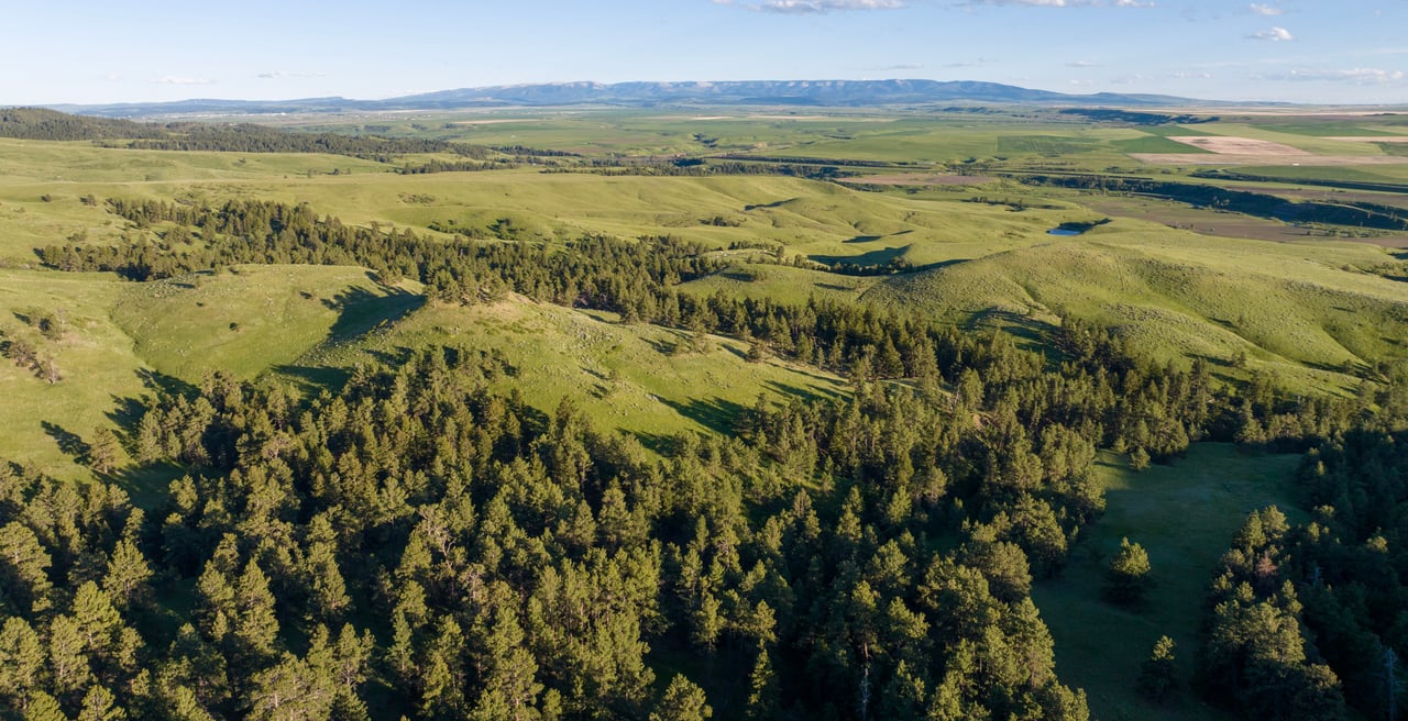 Big Spring Legacy Ranch
