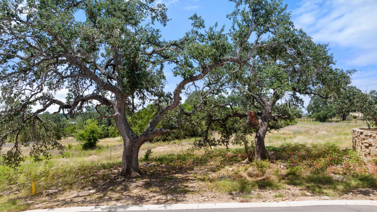 5300 Spring Preserve Trail LOT