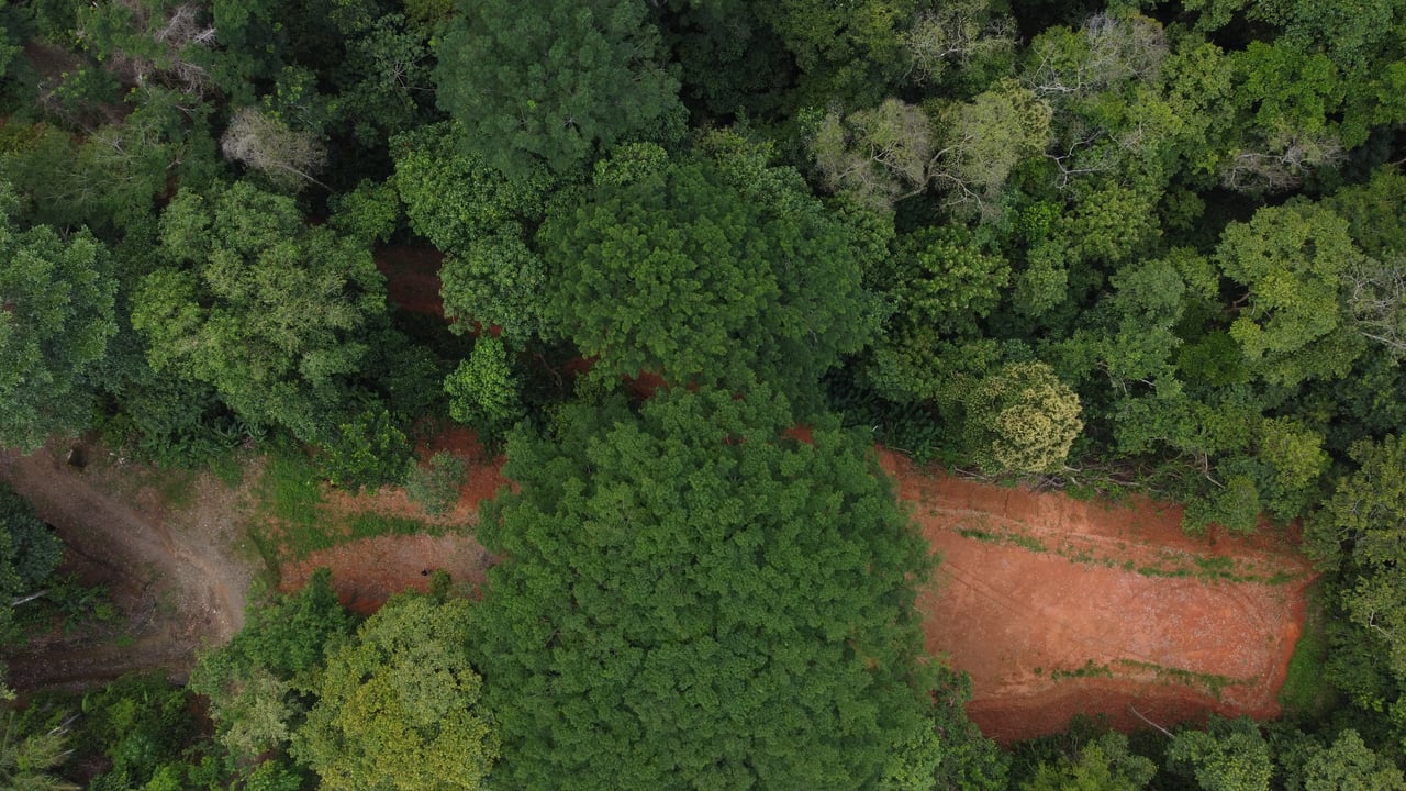 Jungle Oasis with River Frontage Near Dominical – 5.2 Acres of Pure Nature