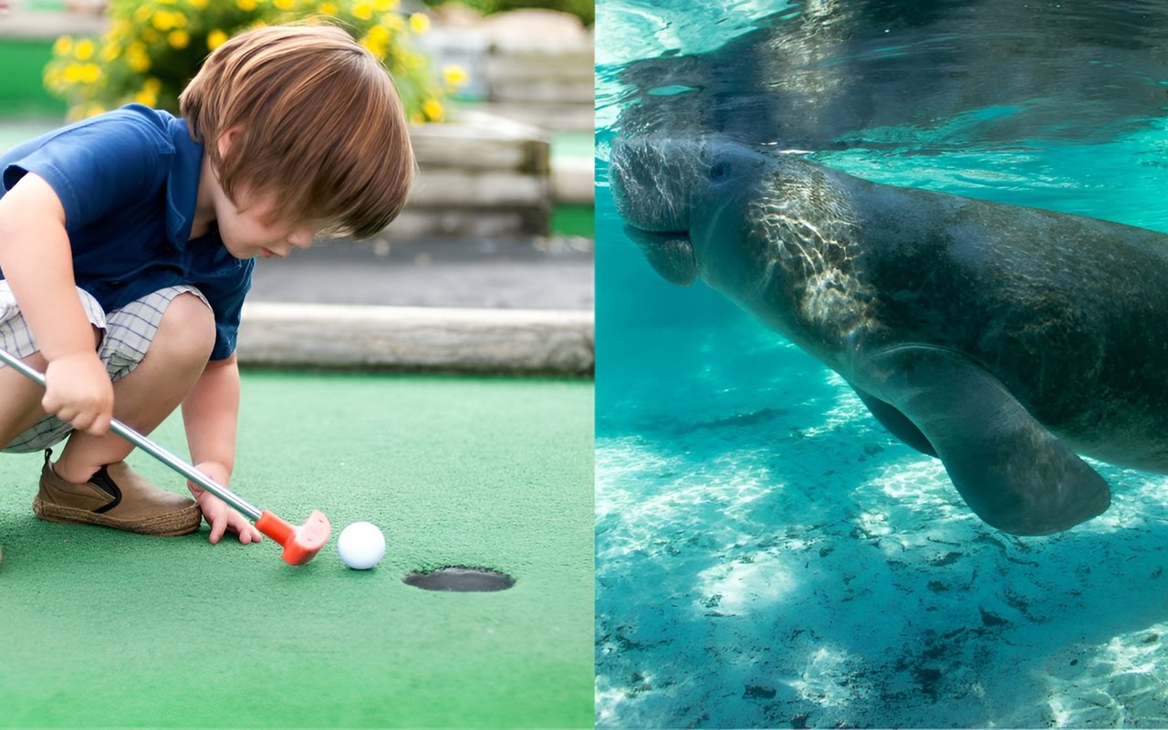 New Interactive Destinations coming to UTC!