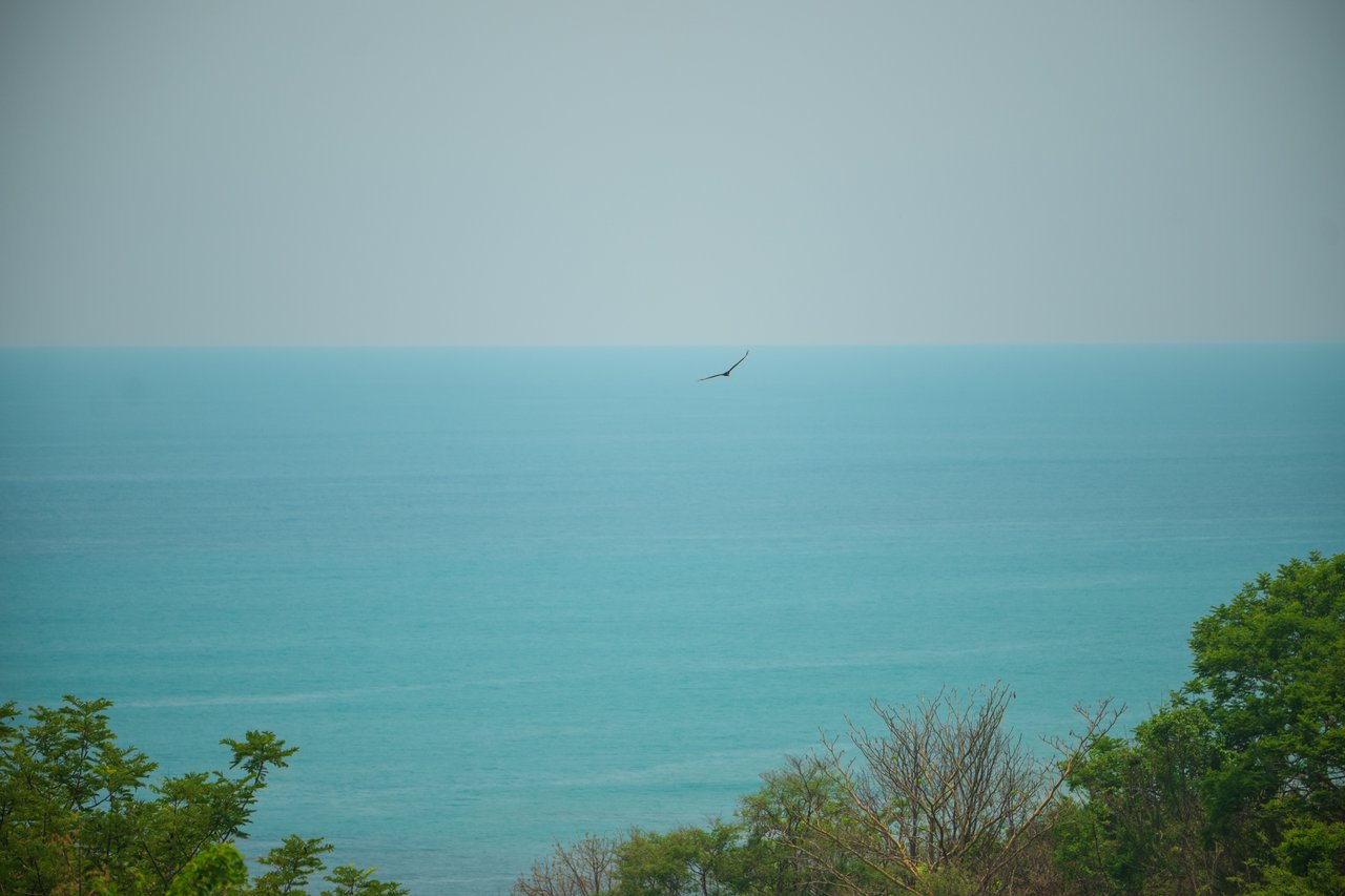 Oceanview Land for Your Dream Home in Santa Teresa
