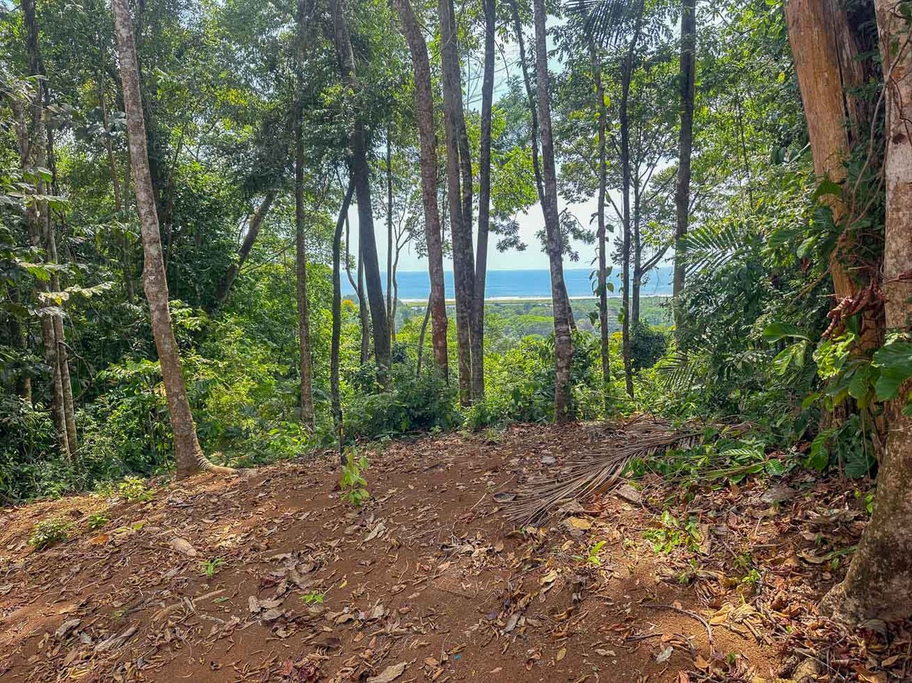 23-Acre Prime Highway Frontage Lot Near Ojochal & Ocean