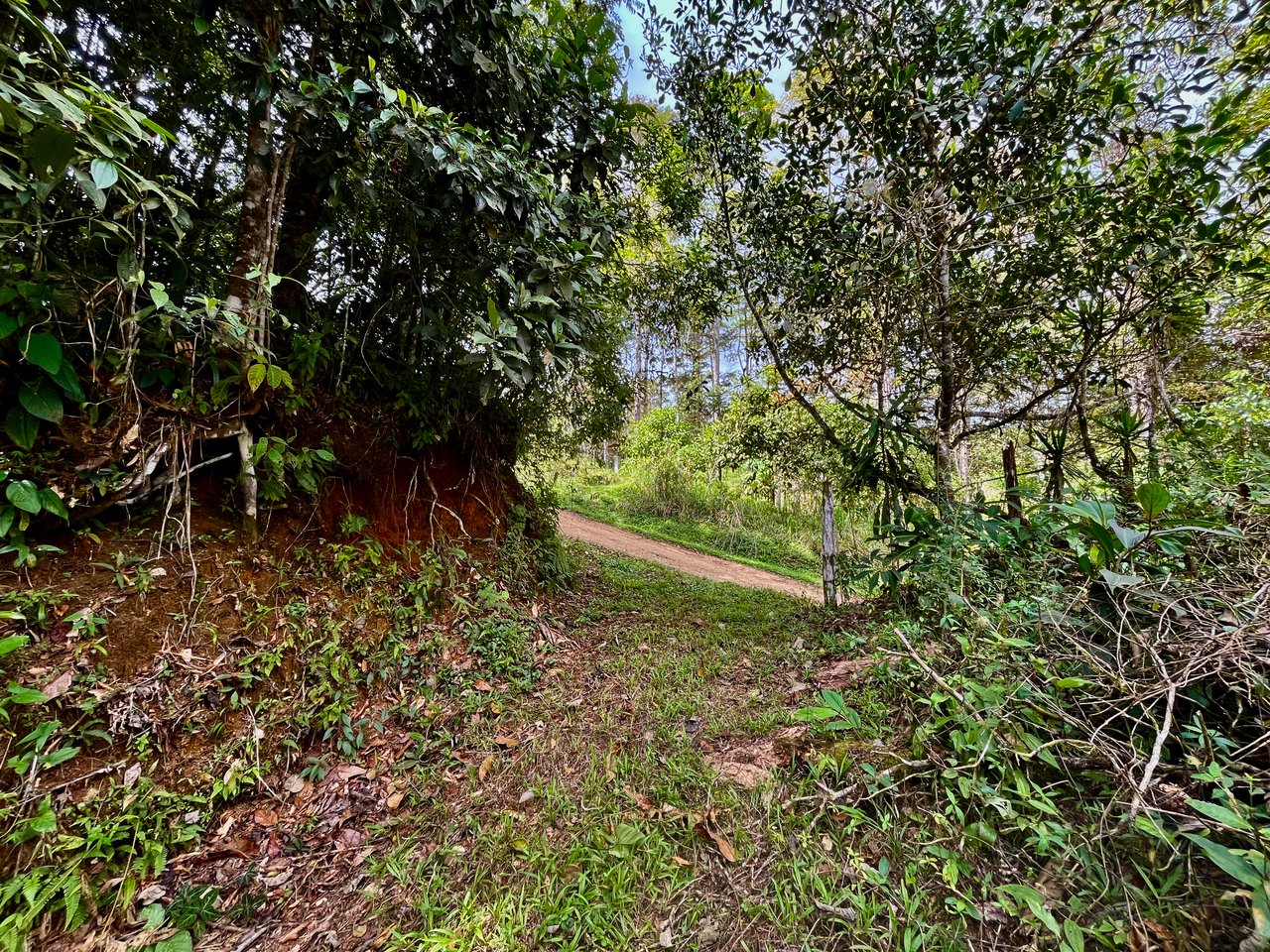 San Luis Ridgetop Ocean & Mountain View Property with Multiple Building Sites!