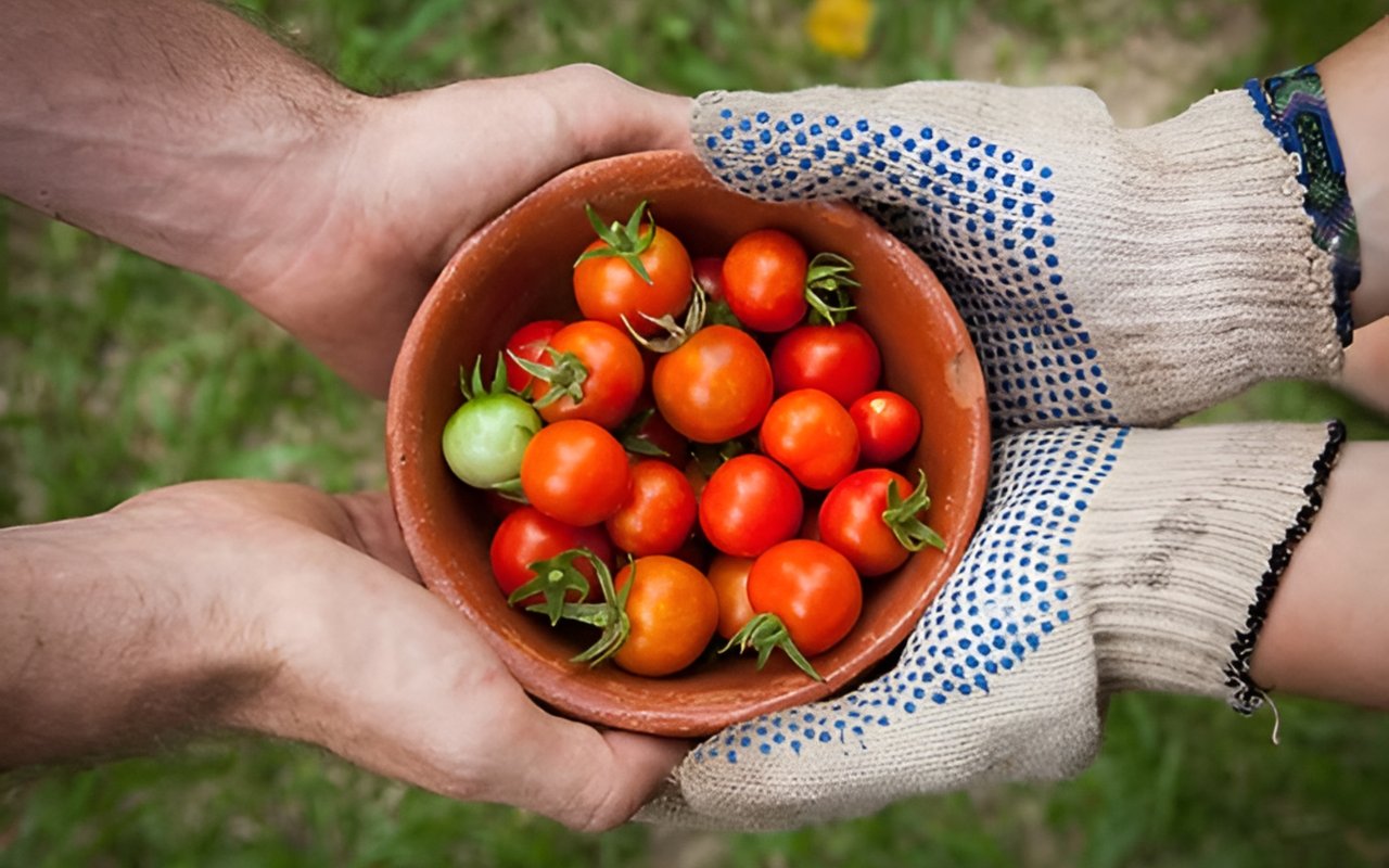 The Gift of Plants - Share the Love
