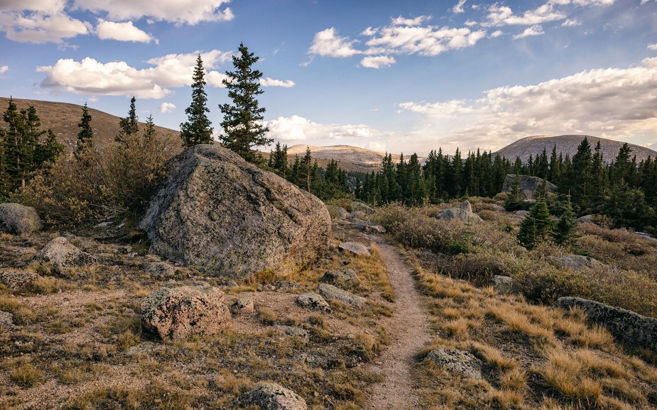 Rocky trail winds through autumn brush and evergreens toward low mountain ridges.