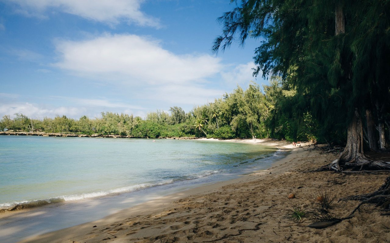 Kahuku