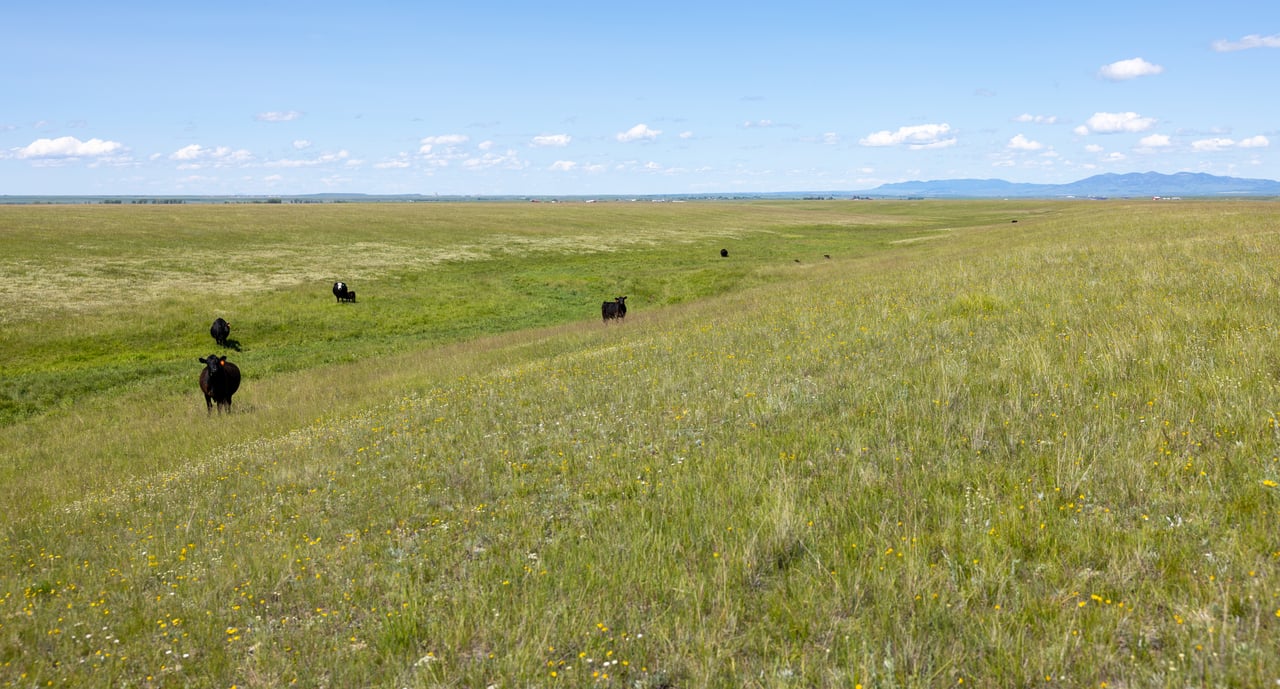 Hauck Coulee Ranch