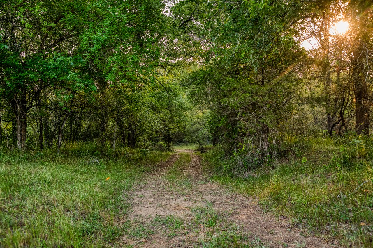 Revival Ranch TX