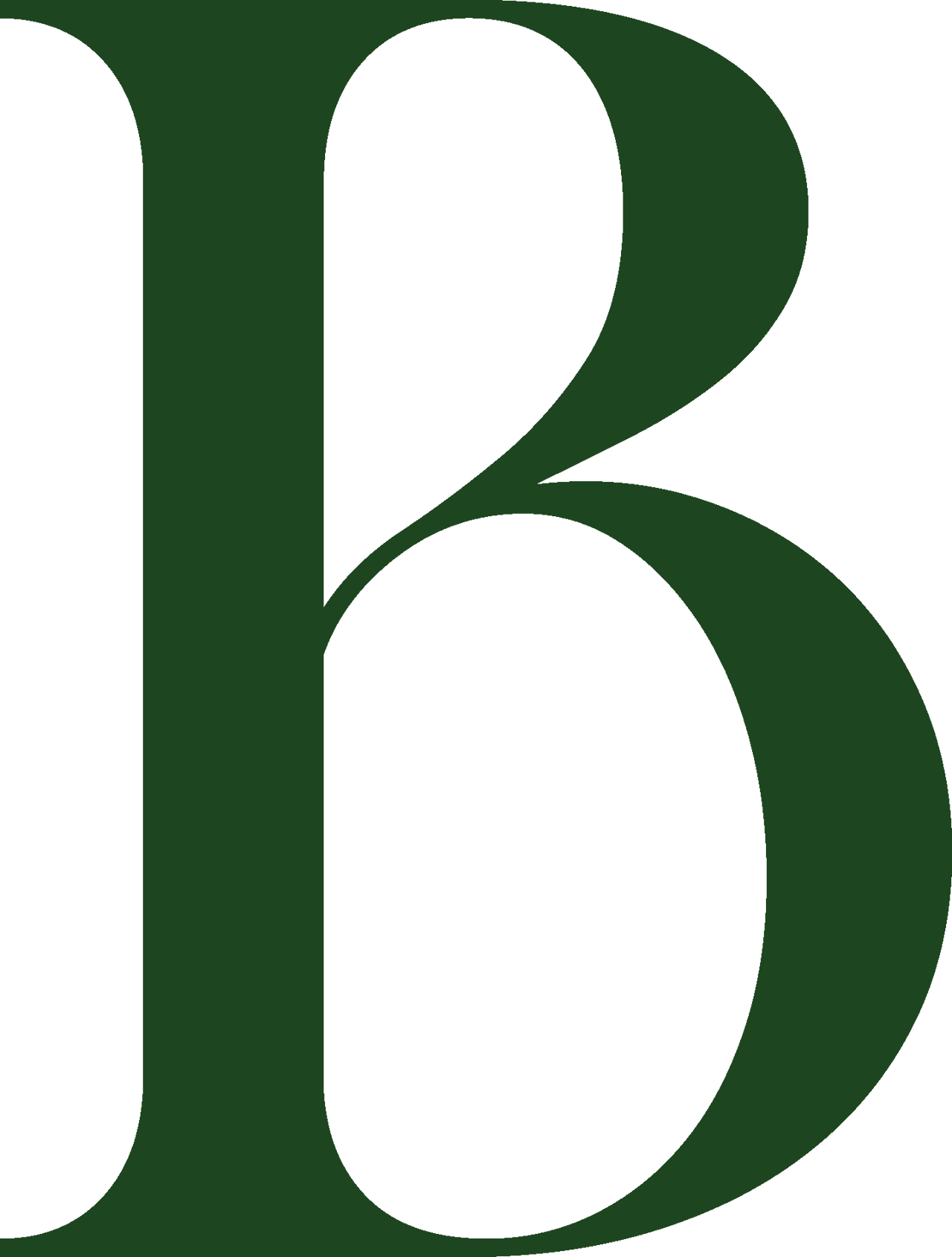 The Beretta Group