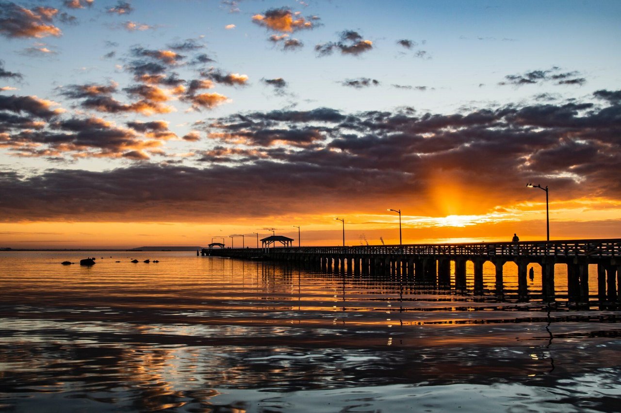 Sunset at Ballast Point Park in Tampa featuring a fishing pier and panoramic bay views.