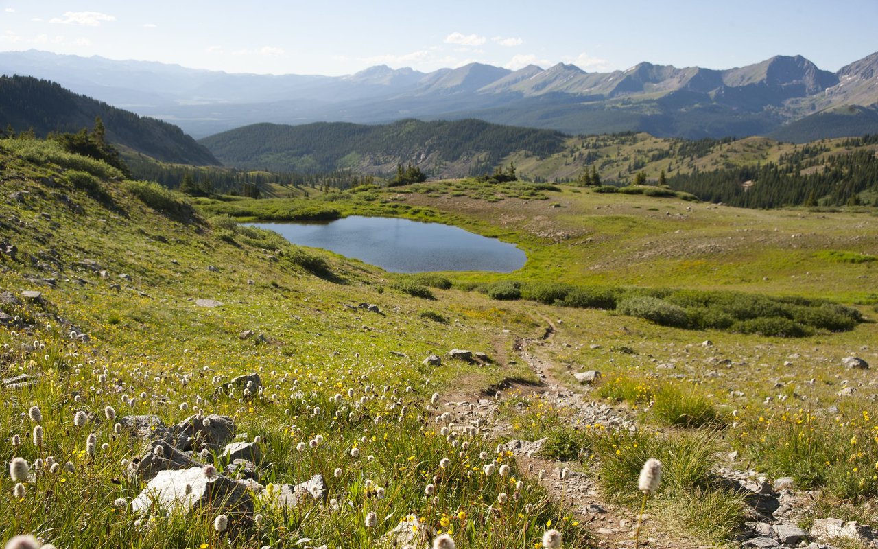 Chaffee County