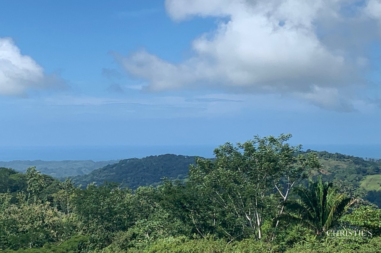 Finca Naranjalito