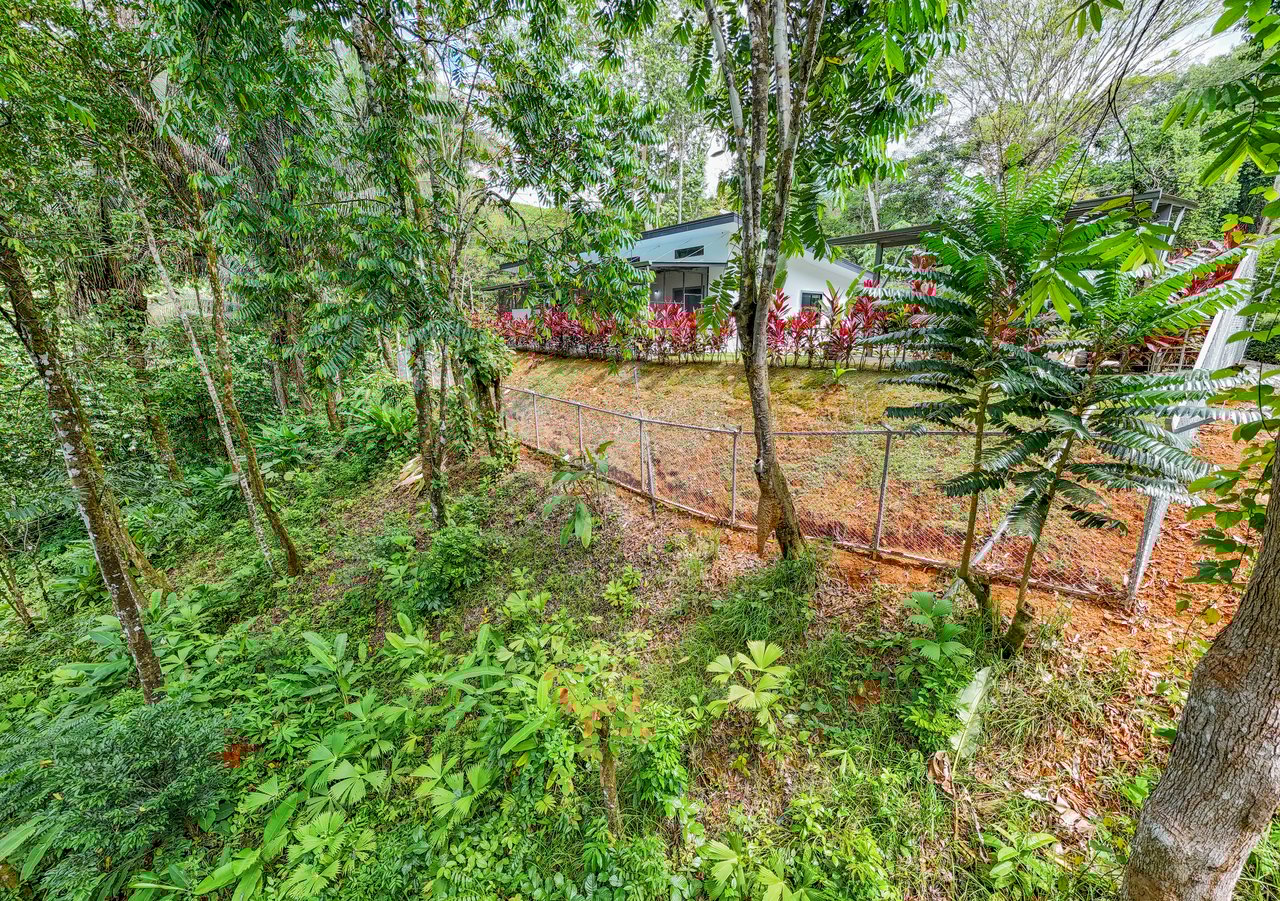 Modern 3-Bed Jungle Home with River and Pool in Cinco Ventanas Ojochal