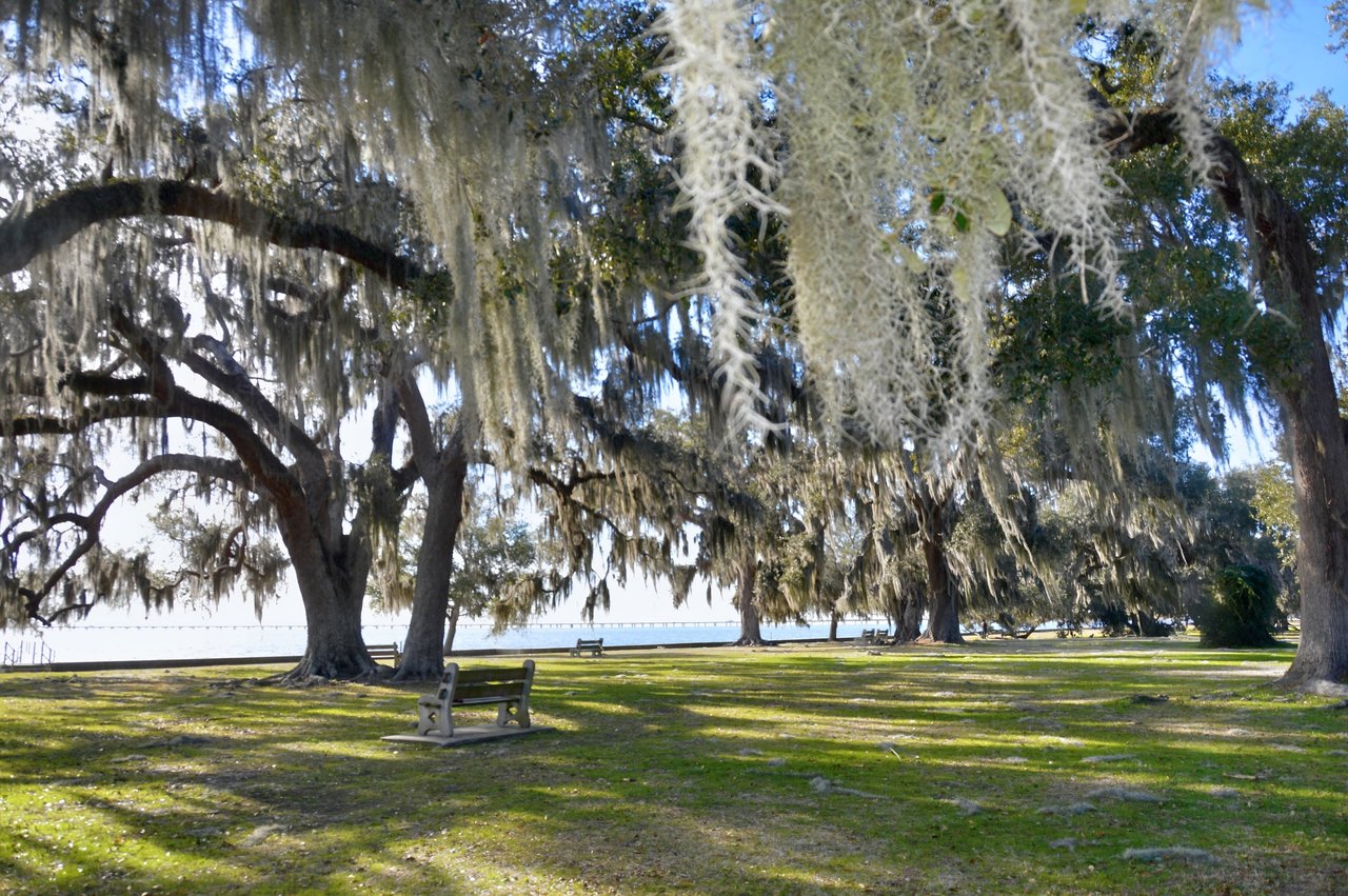 Mandeville Lakefront
