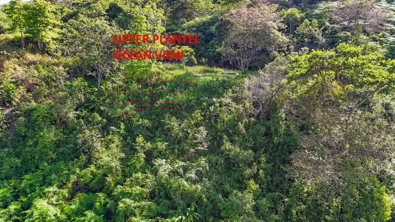 Tinamastes Costa Rica Property with Home, Yoga Deck & Land