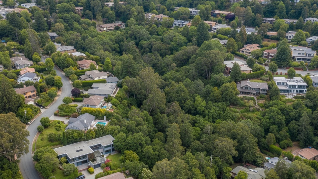 Who Is the Best Realtor in Mill Valley, CA? Tracey Broadman