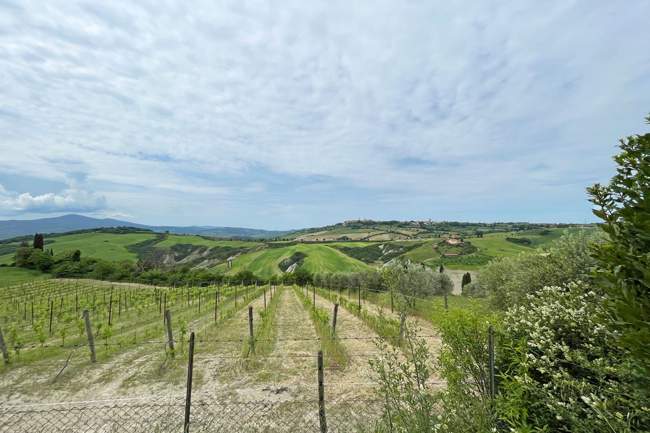 UNA FINESTRA SU PIENZA