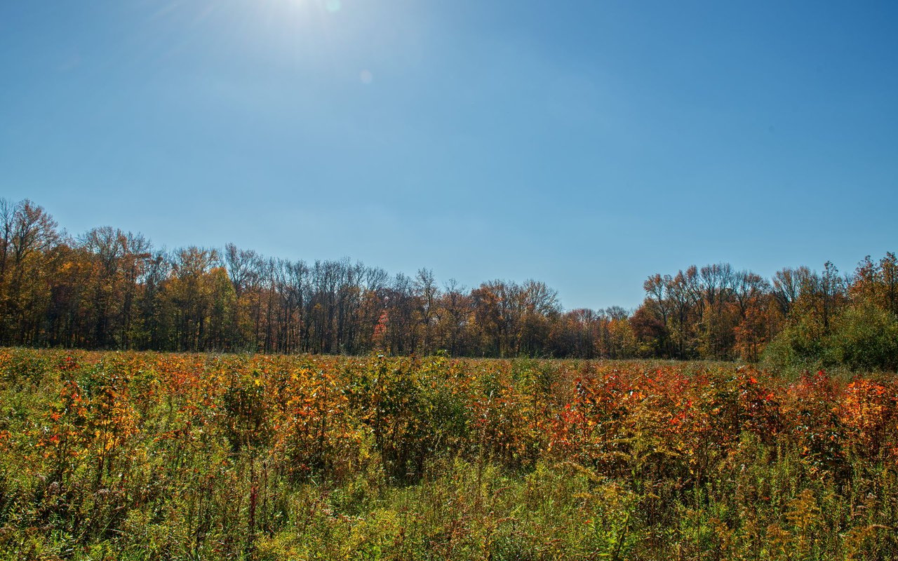 Perrineville