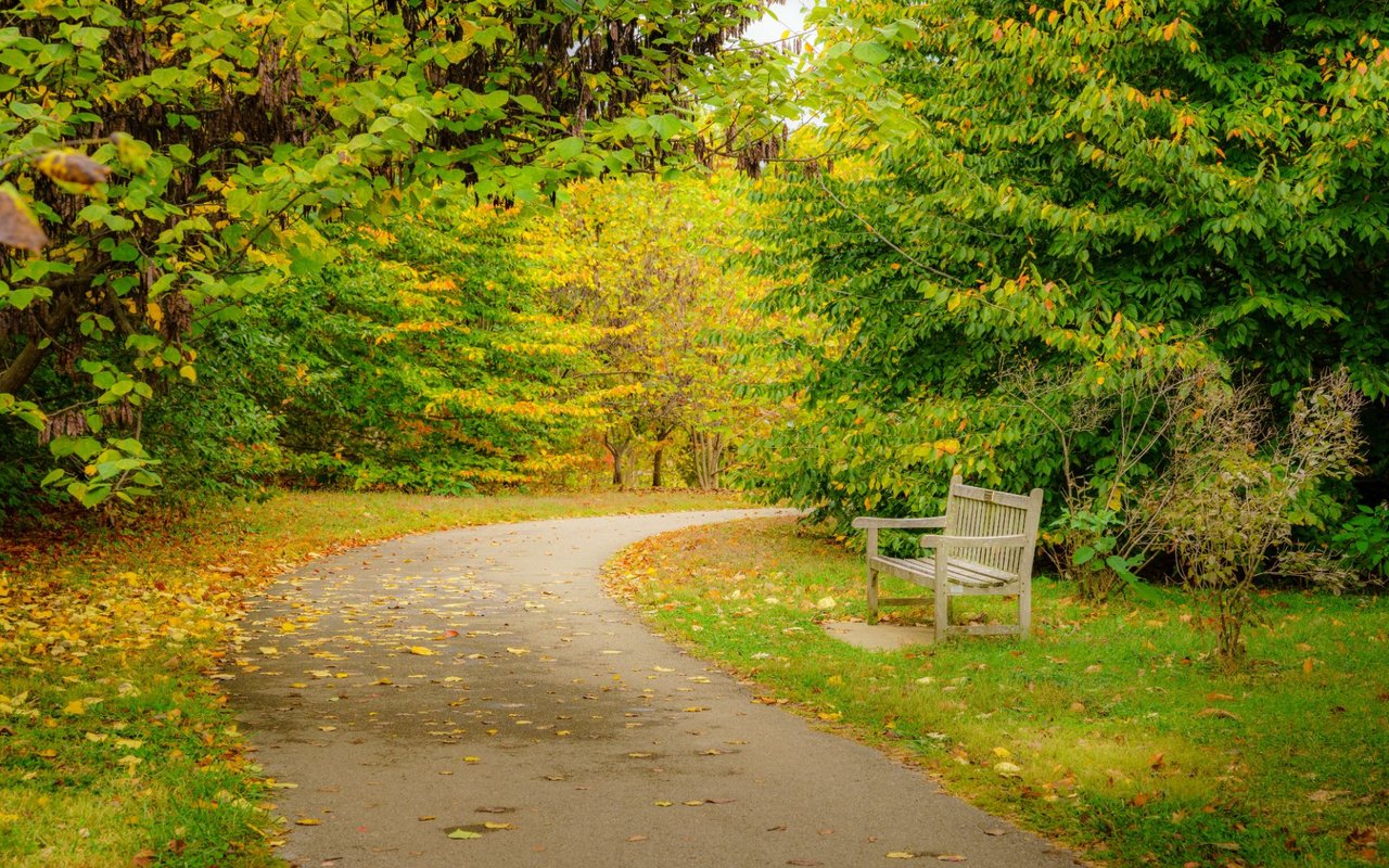 Pleasure Ridge Park