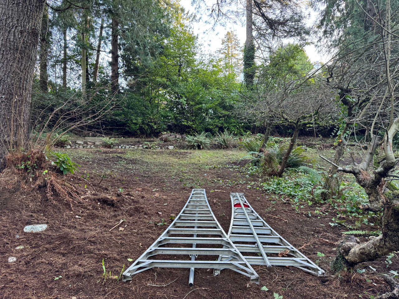 Finding a homes value