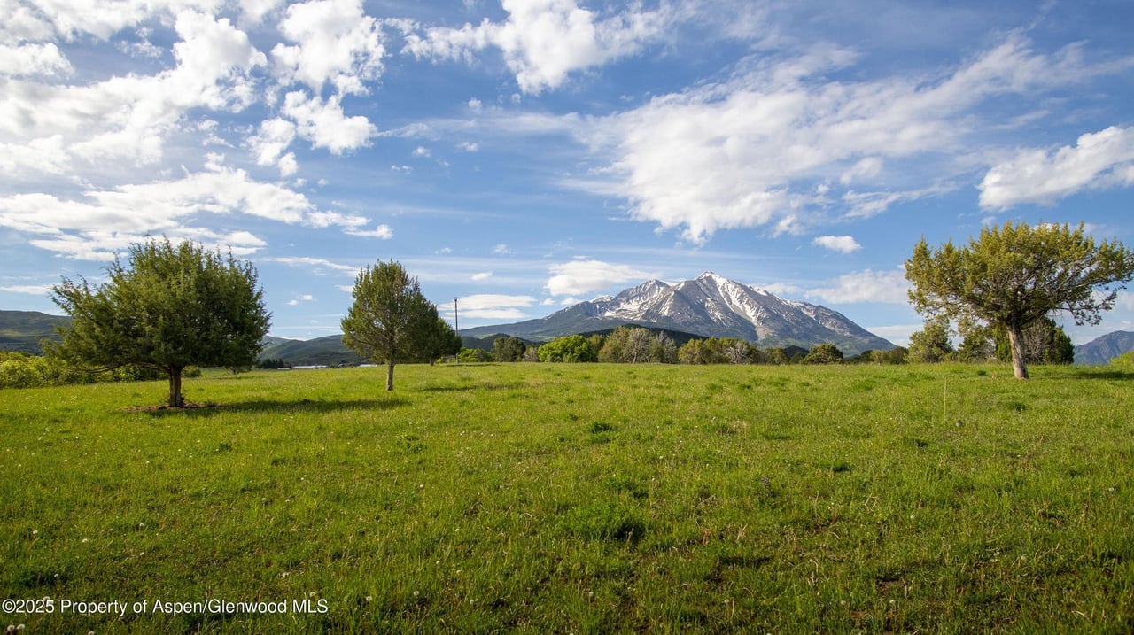 1634 Prince Creek Road