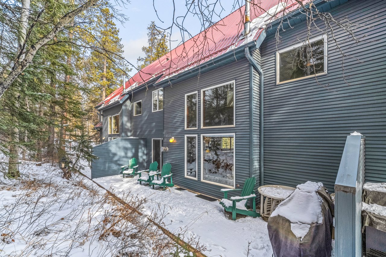 13-205 Carey