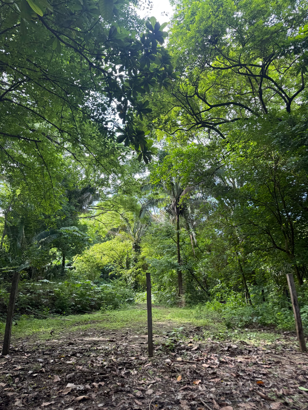 Lote en Nosara , Nosara, Guanacaste