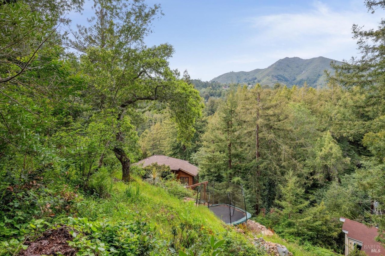 Stylish Mill Valley