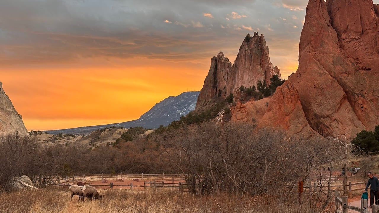 Garden of the Gods: Where Colorado Springs Comes Alive