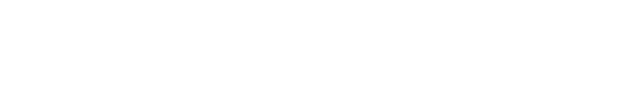 Light Logo
